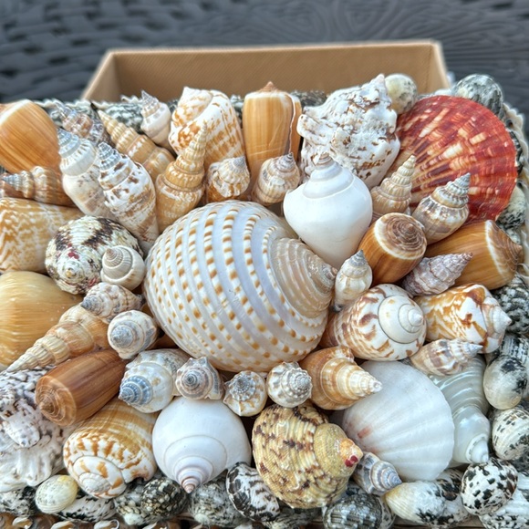 Box - Picture 3 of 6